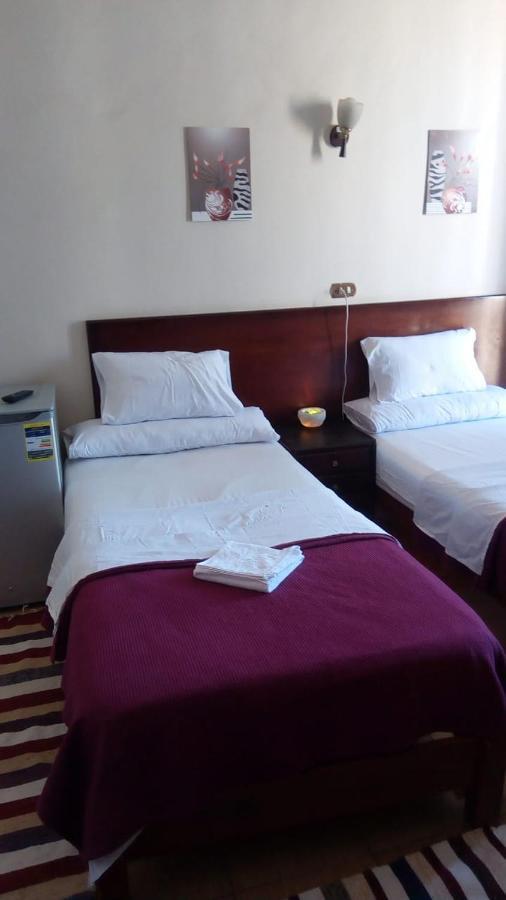 Transit Alexandria Hostel Екстер'єр фото