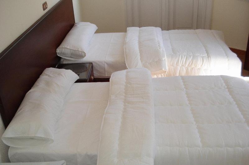 Transit Alexandria Hostel Екстер'єр фото